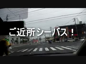 クルマで釣りに行こう♪ part 51 【シーバス】