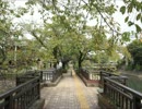 【大垣】 聲の形、舞台探訪ツーリングしてきた 【養老】