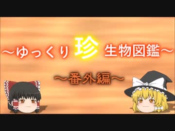 ～ゆっくり　珍　生物図鑑～　番外編7