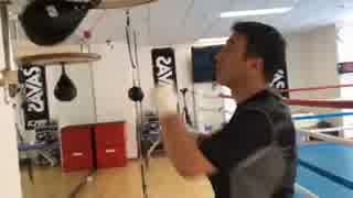 パンチングボール