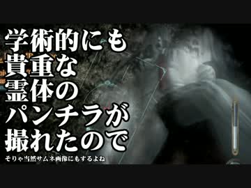 【Gero】外国人達が零をゲーム実況したらこうなった【Toshizo】#30