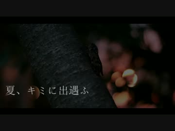 【オリジナル曲】夏、キミに出遭ふ【優莉ｆeat.メリッサP】