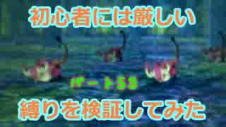 【新・世界樹の迷宮】初心者には厳しい縛りを検証してみたPart53