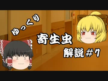 【ゆっくり解説】ゆっくり寄生虫解説#7~蟯虫~