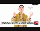 ピコ太郎の「パイナッポーペン」動画、世界で大流行