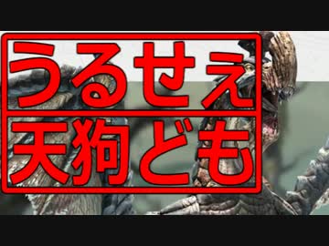 うるせぇ天狗どもがモンハンオンラインやりました04