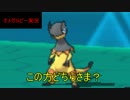 （＃2）上画面のみverでの投稿【ORAS】