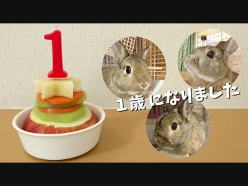 うさぎのまるくん一家（4）ちびたち 1歳になる