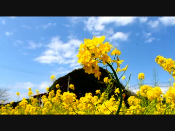 【RASHEEN】一泊二日伊豆半島キャンプ旅【2日目】