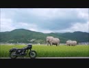 [ エストレヤ ] Summer Touring