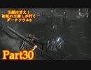 【実況】玉座は甘え！初見の王殺しが行くダークソウル3【DarkSoulsIII】part30