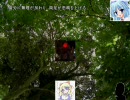 幻想入りさせてみた　番外編-前