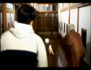 【実況】街の実況をしてえんですよ【４７街目】