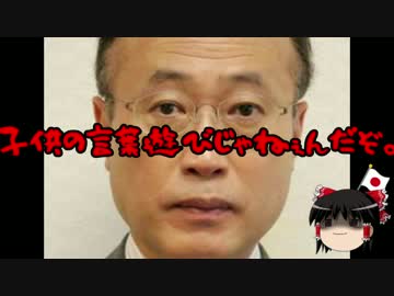 【ゆっくり保守】ヤンキーゴーホームはヤンキーゴーホーム。