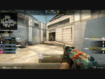 【Counter-Strike】ダメ子のへたれプレイ CS:GO編⑩ AK-47 ACE【Global Offensive】