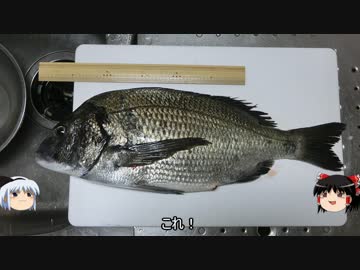 釣った黒鯛を「もろみ竜田揚げ」でいただきます。
