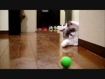 廊下でキャッチボール