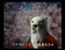 くまうた　（353）　「体調不良」　唄：嵐山クマ男