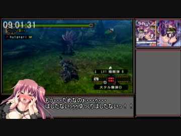 MHP2G_村クエRTA_13:16:44_part10