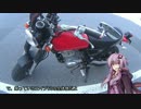 エイプでそのへんをブラブラ走ってみたwithゆかりさん。第15回