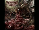洋楽メタル紹介 “1397”　Ruptured Birth　-　Vomit Drop