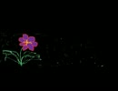 【耳コピ】ZEPHYRANTHES 【TAG】