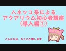 ハネッコ系によるアクアリウム初心者講座(導入編①)