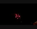 2016.10.1 （茨城） 土浦の花火　「夜空のかわいい小さなお花」