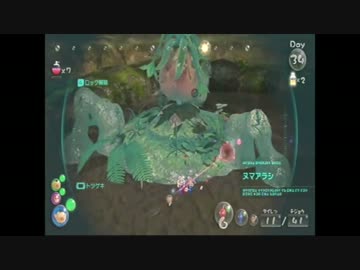 【実況】初プレイ司令官と既プレイ参謀でピクミン３【Part29】