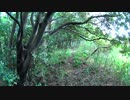 里山で藪漕ぎ #1