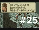 昔の自分に代わってタクティクスオウガ part25