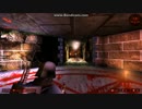 KillingFloor　カスタム鯖　プレイ動画