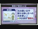 「殺処分」ゼロを目指して　様々な取り組み