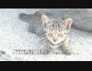 「桜風堂（おうふうどう）ものがたり」応援動画