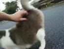 20161004(3)