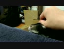 アゴがリラックスするんじゃぁ・・・（・ｘ・）