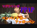 マジシャン＆ジャグラーがペンパイナッポーアッポーペン踊ってみた