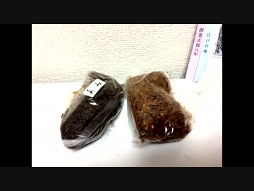 元祖佃煮の天安／ササミが入ってる塩ラーメン (東中野の楓家)