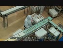 男二人で旅に出てきた　完