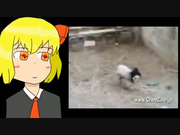 ルーミアが面白映像を見るようです。