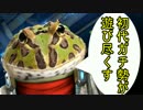 初代ガチ勢がスターフォックスゼロを遊び尽くす【ゆっくり】♯18
