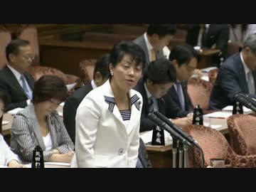 【必見】二重国籍やスパイが議員公務員になったらとうなるか解説します