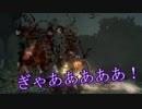 【Salt and Sanctuary】アイテムを収集しつつ脳筋プレイ　5話【ゆかマキ実況】