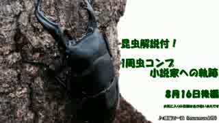 昆虫解説付!1周虫コンプ小説家への軌跡…【ぼくなつPSP】8月16日後編