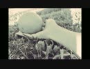 【ジョジョ人力】魔法【パンナコッタ・フーゴ】