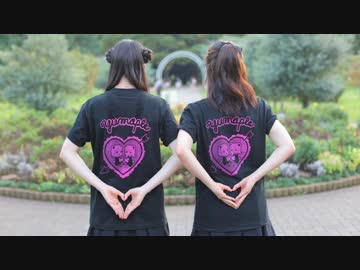 【ゆめいぷる】『風待ちハローワールド』 踊ってみた 【夫婦】