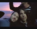 Red Hot Chili Peppers - Desecration Smile