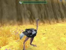 Zoo Tycoon 2 ほのぼの観察日記 営業12日目