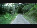 府道217号 県別まっぷる指定コースを南側から