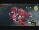 【実況】 今更MHP3を初見プレイ part29 -上位 赤甲獣・眠狗竜・白兎獣-